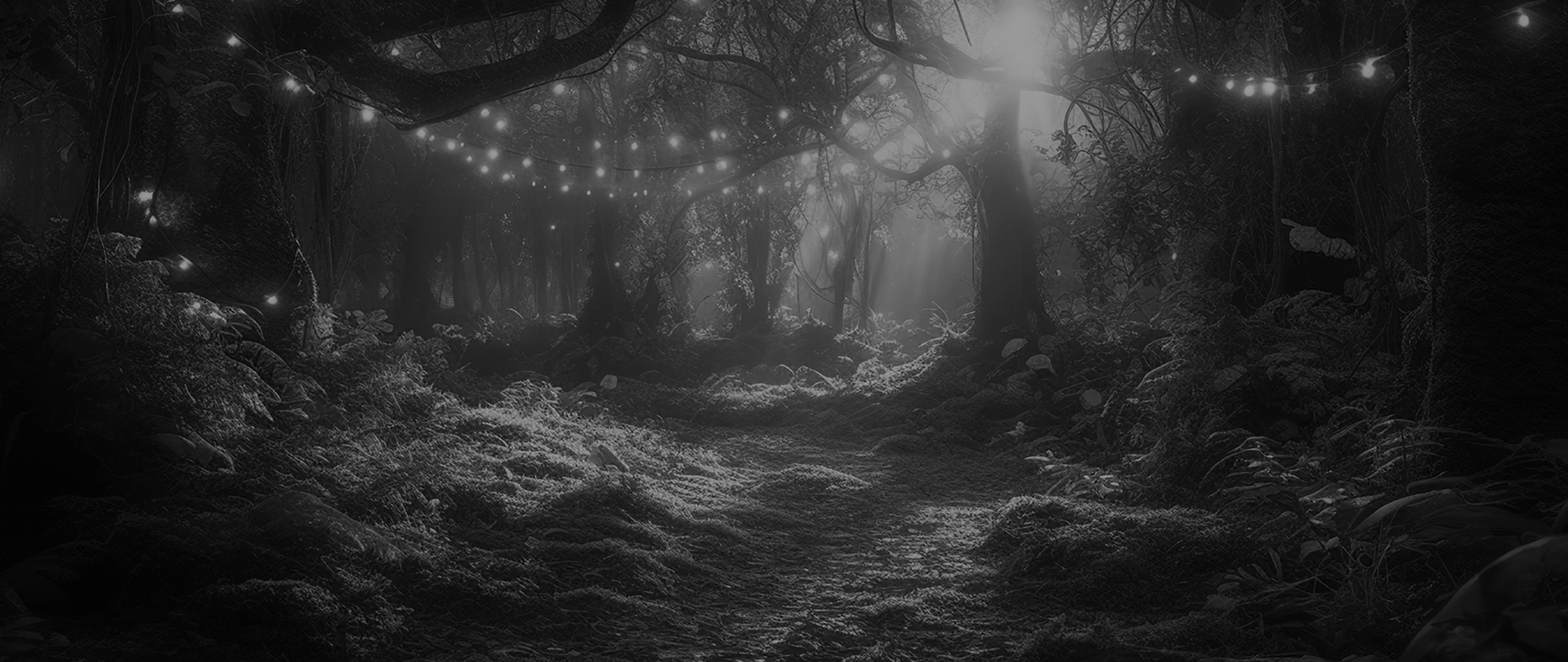 images/banner-default.jpg