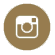 instagram-icon
