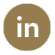 linked-in-icon